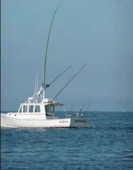 trolling with the greenstick