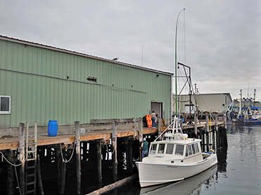 Endurance Green Stick