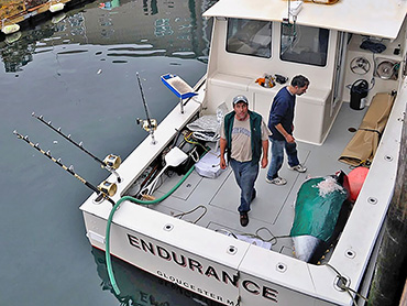 Endurance unloading a bluefin