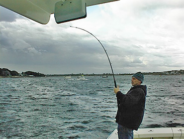 fighting a striper